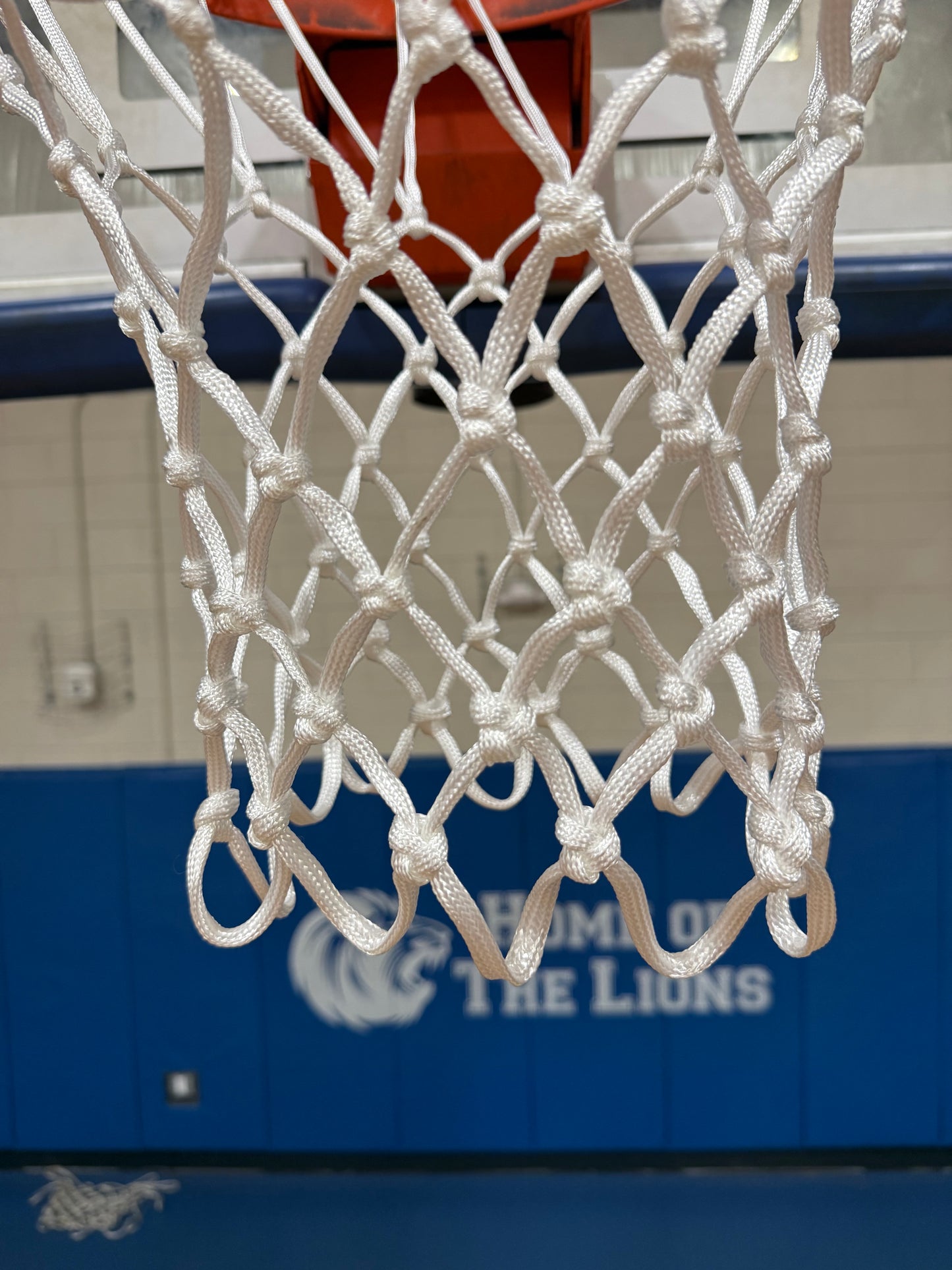 Basketball Net Pair